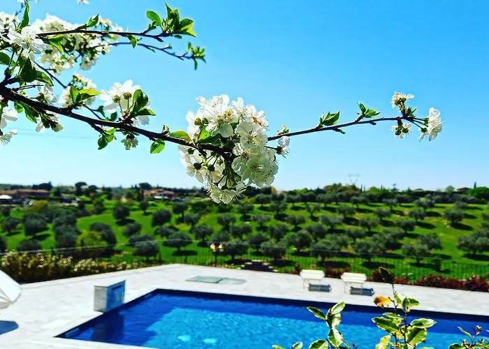 Angolo Di ParadisoAgriturismo